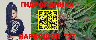 амф Гусь-Хрустальный