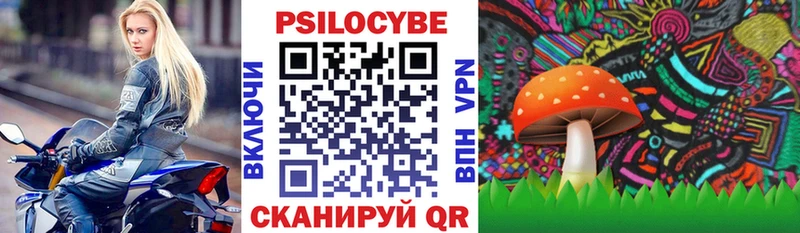 Псилоцибиновые грибы GOLDEN TEACHER Саяногорск