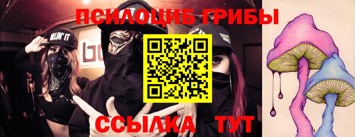 Псилоцибиновые грибы Psilocybine cubensis  Вход с VPN  Галлюциногенные грибы прущие грибы  Саяногорск 