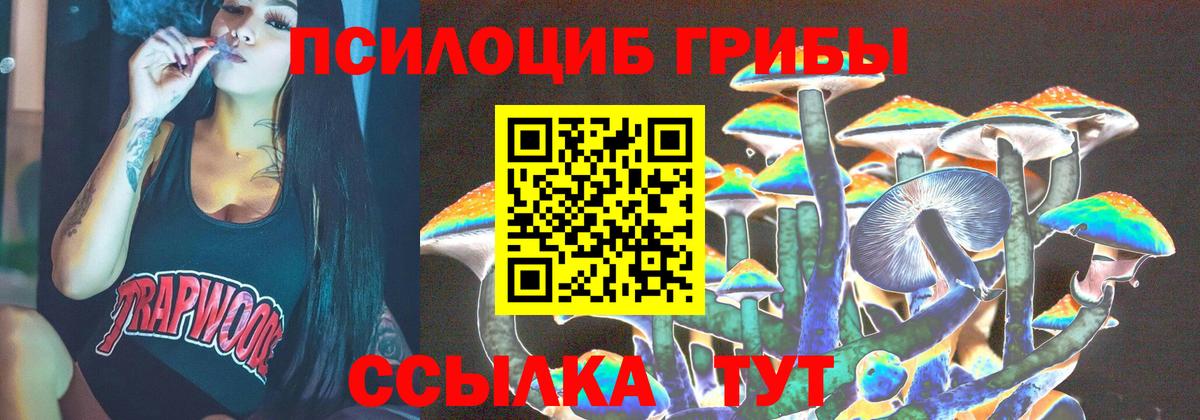 Галлюциногенные грибы GOLDEN TEACHER Саяногорск
